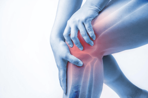 knee pain , pain relief ,
 gut health
