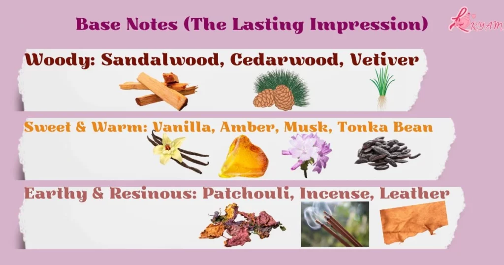 Perfume Fragrance Notes