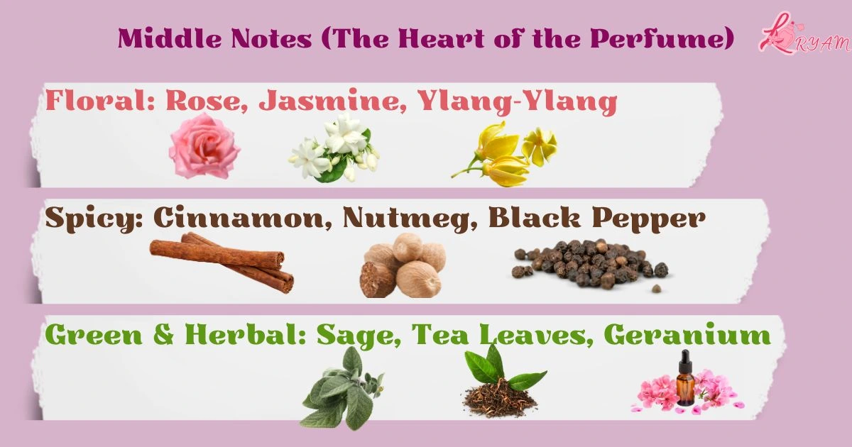 Perfume Fragrance Notes