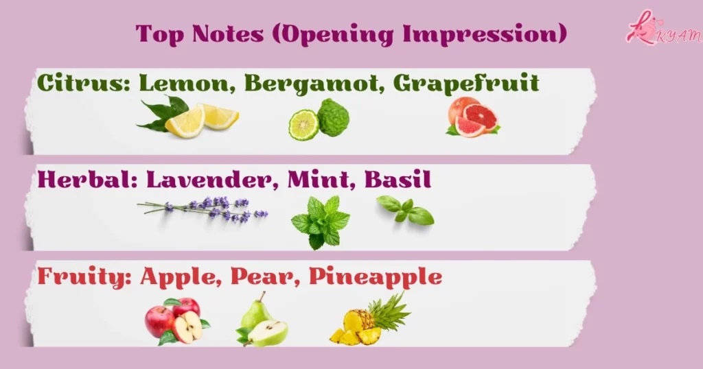 Perfume Fragrance Notes